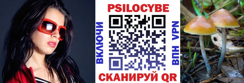 магазин    Шлиссельбург  Псилоцибиновые грибы Psilocybine cubensis 